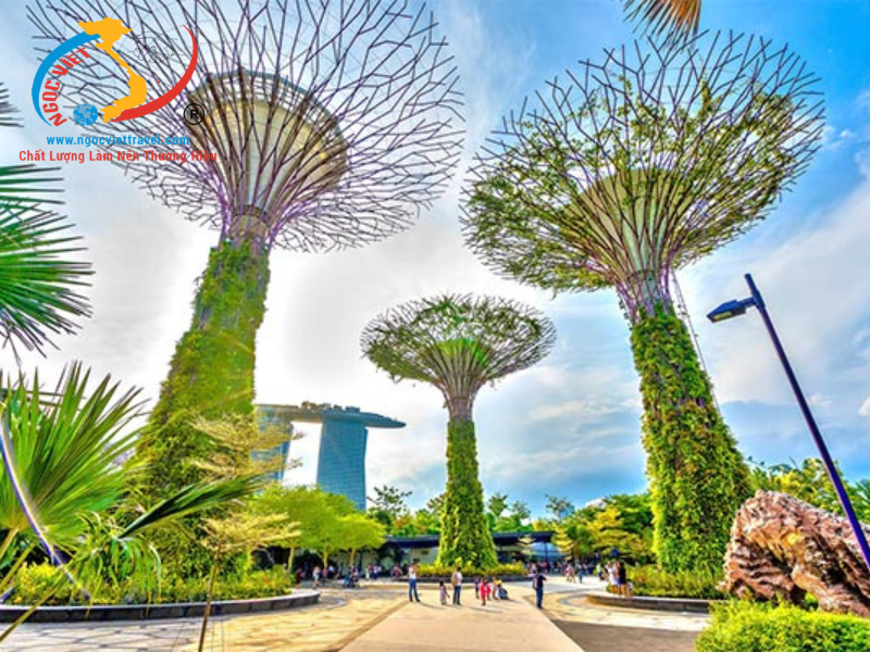 TOUR SINGAPORE - THÁC NƯỚC JEWEL – GARDENS BY THE BAY CHÙA RĂNG PHẬT