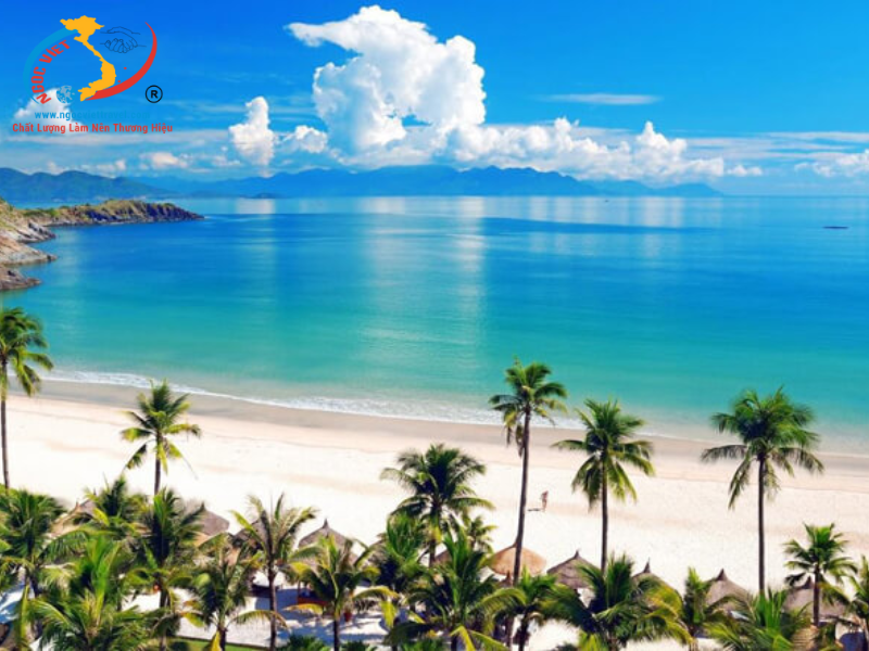 NHA TRANG TOUR - HIGH QUALITY VIP CAR