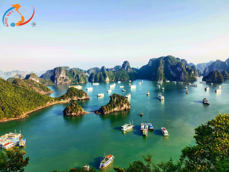 TOUR HÀ NỘI – BÁT TRÀNG - NINH BÌNH – HẠ LONG – YÊN TỬ– SA PA TẾT ÂM LỊCH 2025