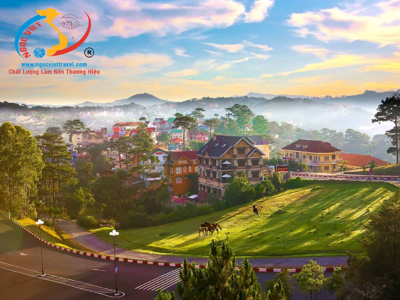 TOUR ĐÀ LẠT 3 NGÀY - KDL MONGO LAND - CAO NGUYÊN HOA ĐÀ LẠT - SAMTEN HILLS - VƯỜN ÁNH SÁNG LUMIERE