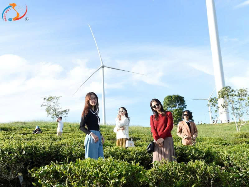 TOUR ĐÀ LẠT - THÀNH PHỐ NGÀN HOA - BESTSELLER THÁNG 10-11-12