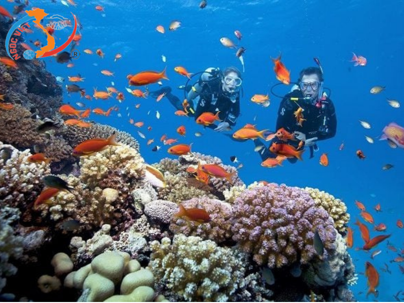 PHÚ QUỐC THÀNH PHỐ CỦA NHỮNG GIẤC MƠ