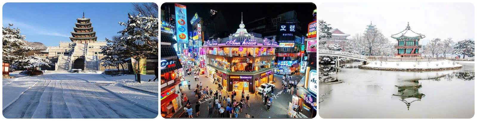 TOUR BUSAN