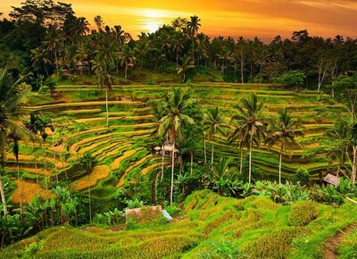 TOUR BALI - VƯỢT THÁC D’TUKAD CLUB