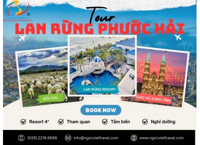 TOUR PHƯỚC HẢI 2N1Đ - RESORT LAN RỪNG 4* - 2024